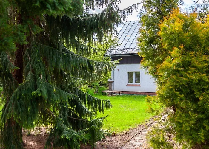 Caloroczny Magnolia Milkow-karpacz *